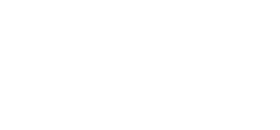 Alcopa Auction