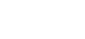 ICN Business School